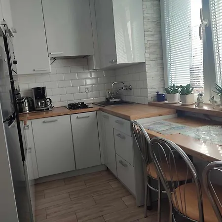 Rosa U Marzeny Władysławowo